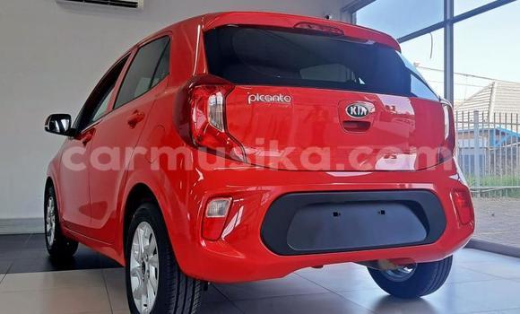 Buy Used Kia Picanto White Car in Beitbridge in Matabeleland South Buy Used Kia Picanto White Car in Beitbridge in Matabeleland South