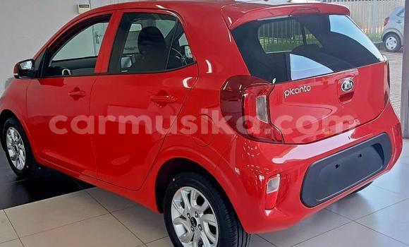 Buy Used Kia Picanto White Car in Beitbridge in Matabeleland South Buy Used Kia Picanto White Car in Beitbridge in Matabeleland South