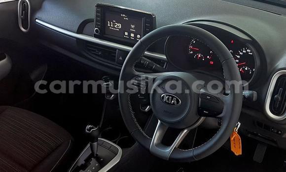 Buy Used Kia Picanto White Car in Beitbridge in Matabeleland South Buy Used Kia Picanto White Car in Beitbridge in Matabeleland South