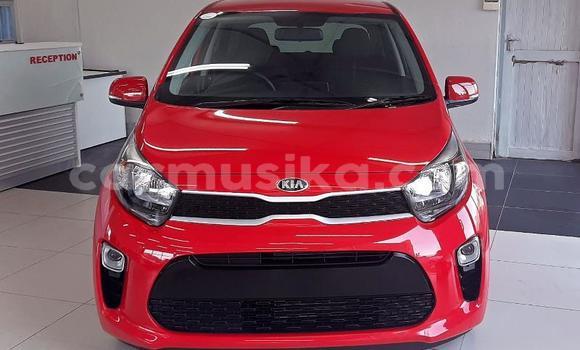 Buy Used Kia Picanto White Car in Beitbridge in Matabeleland South Buy Used Kia Picanto White Car in Beitbridge in Matabeleland South