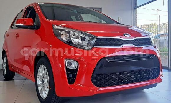 Buy Used Kia Picanto White Car in Beitbridge in Matabeleland South Buy Used Kia Picanto White Car in Beitbridge in Matabeleland South