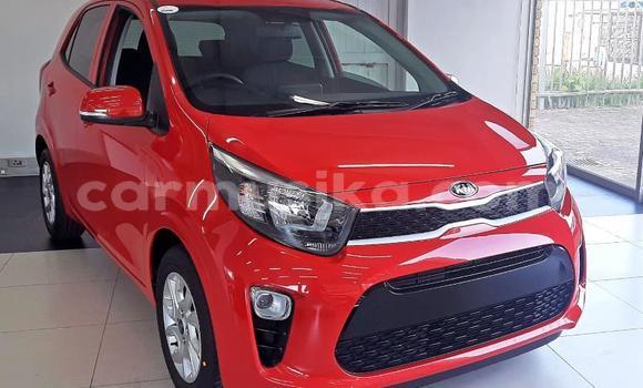 Buy Used Kia Picanto White Car in Beitbridge in Matabeleland South Buy Used Kia Picanto White Car in Beitbridge in Matabeleland South