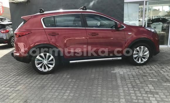 Buy Used Kia Sportage Red Car in Beitbridge in Matabeleland South