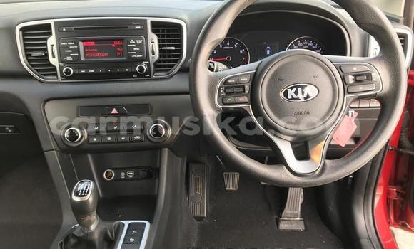 Acheter Occasion Voiture Kia Sportage Rouge à Beitbridge, Matabeleland South Acheter Occasion Voiture Kia Sportage Rouge à Beitbridge, Matabeleland South