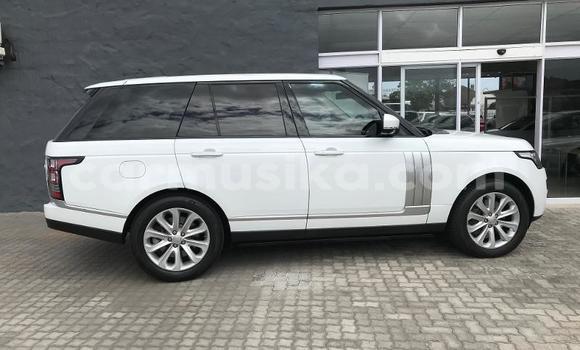 Tenga Tsaru Range Rover Range Rover Chena Mota in Beitbridge in Matabeleland South