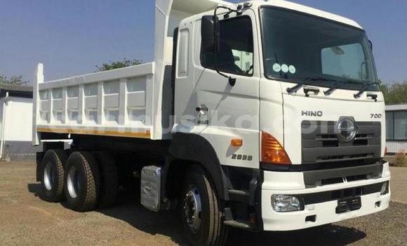 Buy Used Hino 300 Series White Truck in Beitbridge in Matabeleland South Buy Used Hino 300 Series White Truck in Beitbridge in Matabeleland South