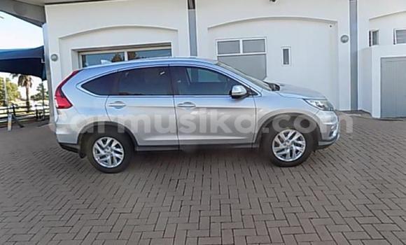 Buy Used Honda CR–V Silver Car in Beitbridge in Matabeleland South Buy Used Honda CR–V Silver Car in Beitbridge in Matabeleland South