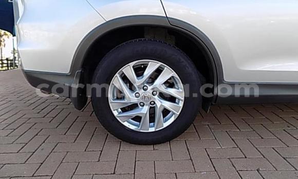 Buy Used Honda CR–V Silver Car in Beitbridge in Matabeleland South Buy Used Honda CR–V Silver Car in Beitbridge in Matabeleland South