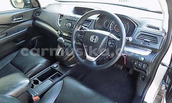 Buy Used Honda CR–V Silver Car in Beitbridge in Matabeleland South Buy Used Honda CR–V Silver Car in Beitbridge in Matabeleland South
