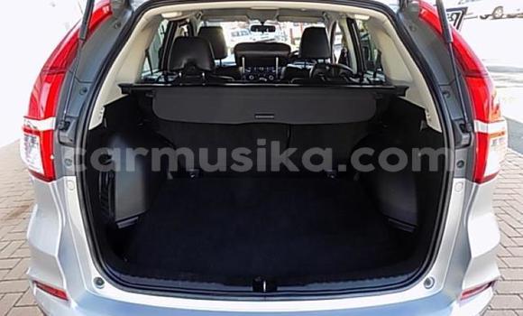 Buy Used Honda CR–V Silver Car in Beitbridge in Matabeleland South Buy Used Honda CR–V Silver Car in Beitbridge in Matabeleland South
