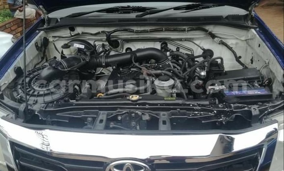 Tenga Tsaru Toyota Hilux Bhuruu Mota in Beitbridge in Matabeleland South Tenga Tsaru Toyota Hilux Bhuruu Mota in Beitbridge in Matabeleland South
