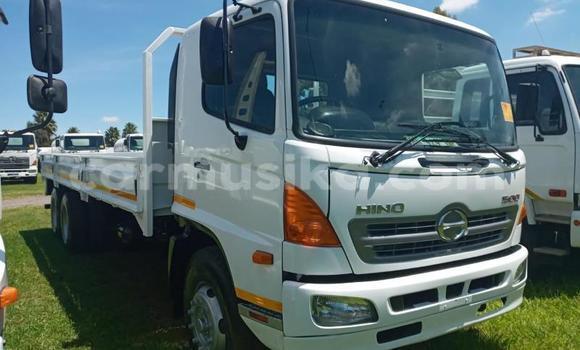 Nunua Ilio tumika Hino 300 Series Nyeupe Lori ndani ya Beitbridge nchini Matabeleland Kusini