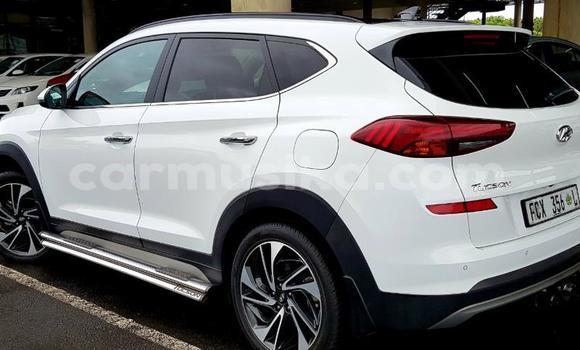 Tenga Tsaru Hyundai Tucson Chena Mota in Beitbridge in Matabeleland South