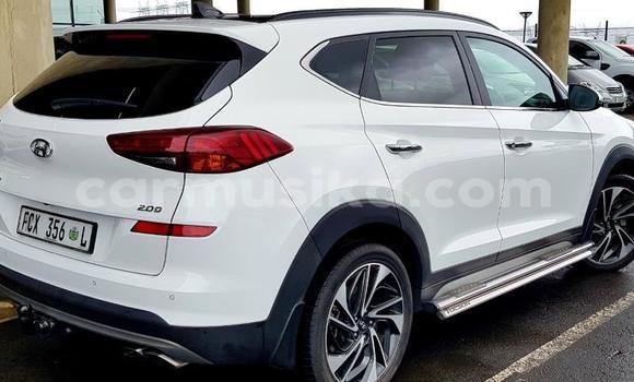 Buy Used Hyundai Tucson White Car in Beitbridge in Matabeleland South Buy Used Hyundai Tucson White Car in Beitbridge in Matabeleland South