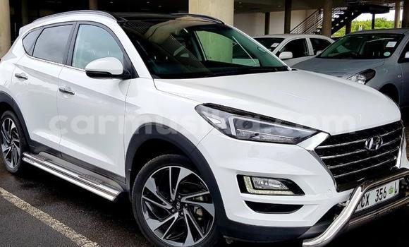 Buy Used Hyundai Tucson White Car in Beitbridge in Matabeleland South Buy Used Hyundai Tucson White Car in Beitbridge in Matabeleland South