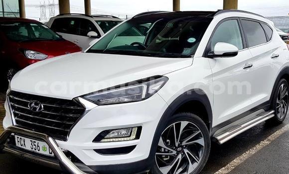 Buy Used Hyundai Tucson White Car in Beitbridge in Matabeleland South Buy Used Hyundai Tucson White Car in Beitbridge in Matabeleland South