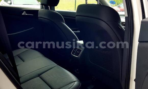 Buy Used Hyundai Tucson White Car in Beitbridge in Matabeleland South Buy Used Hyundai Tucson White Car in Beitbridge in Matabeleland South