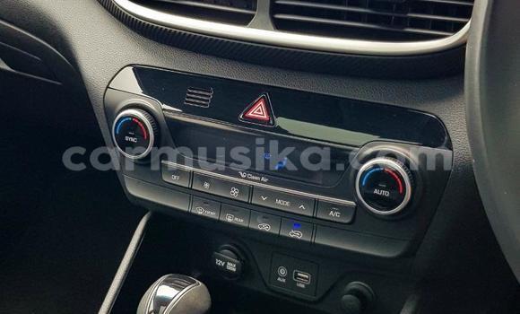 Buy Used Hyundai Tucson White Car in Beitbridge in Matabeleland South Buy Used Hyundai Tucson White Car in Beitbridge in Matabeleland South