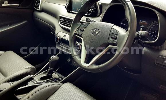 Buy Used Hyundai Tucson White Car in Beitbridge in Matabeleland South Buy Used Hyundai Tucson White Car in Beitbridge in Matabeleland South