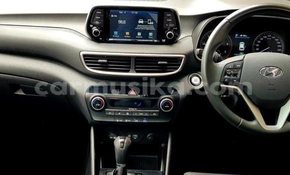 Buy Used Hyundai Tucson White Car in Beitbridge in Matabeleland South Buy Used Hyundai Tucson White Car in Beitbridge in Matabeleland South