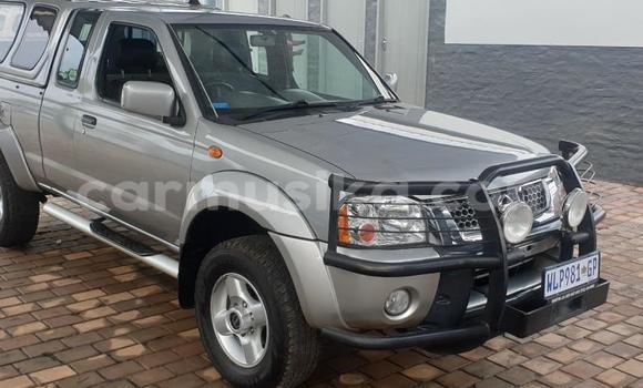 Buy Used Nissan Hardbody Silver Car in Beitbridge in Matabeleland South