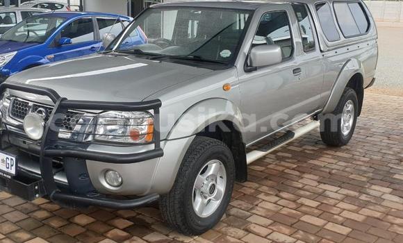 Buy Used Nissan Hardbody Silver Car in Beitbridge in Matabeleland South Buy Used Nissan Hardbody Silver Car in Beitbridge in Matabeleland South