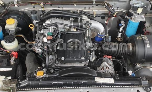 Buy Used Nissan Hardbody Silver Car in Beitbridge in Matabeleland South Buy Used Nissan Hardbody Silver Car in Beitbridge in Matabeleland South