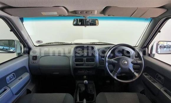 Acheter Occasion Voiture Nissan NP 300 Blanc à Beitbridge, Matabeleland South Acheter Occasion Voiture Nissan NP 300 Blanc à Beitbridge, Matabeleland South