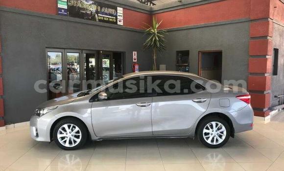 Buy Used Toyota Corolla Silver Car in Beitbridge in Matabeleland South
