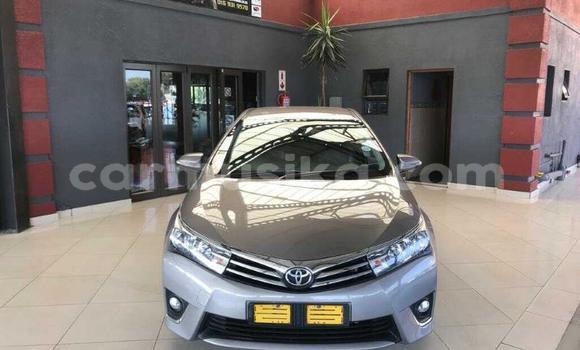 Acheter Occasion Voiture Toyota Corolla Gris à Beitbridge, Matabeleland South Acheter Occasion Voiture Toyota Corolla Gris à Beitbridge, Matabeleland South