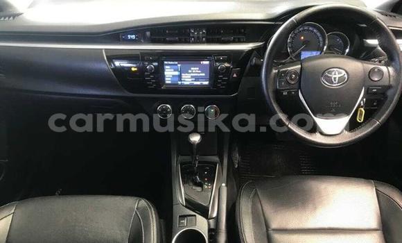 Acheter Occasion Voiture Toyota Corolla Gris à Beitbridge, Matabeleland South Acheter Occasion Voiture Toyota Corolla Gris à Beitbridge, Matabeleland South