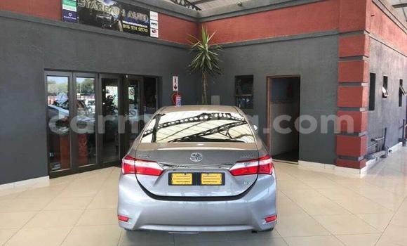 Acheter Occasion Voiture Toyota Corolla Gris à Beitbridge, Matabeleland South Acheter Occasion Voiture Toyota Corolla Gris à Beitbridge, Matabeleland South