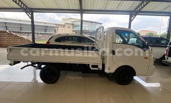 Nunua Ilio tumika Hyundai H200 Nyeupe Gari ndani ya Beitbridge nchini Matabeleland Kusini