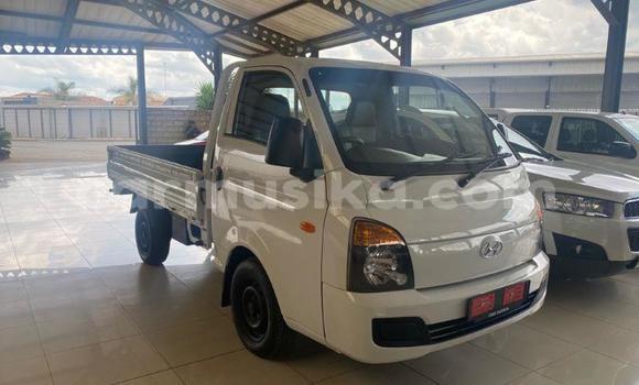 Acheter Occasion Voiture Hyundai H200 Blanc à Beitbridge, Matabeleland South Acheter Occasion Voiture Hyundai H200 Blanc à Beitbridge, Matabeleland South