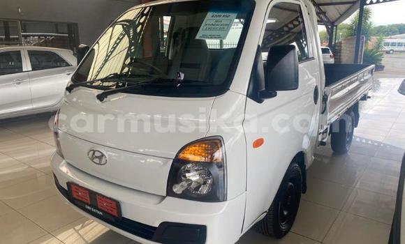 Acheter Occasion Voiture Hyundai H200 Blanc à Beitbridge, Matabeleland South Acheter Occasion Voiture Hyundai H200 Blanc à Beitbridge, Matabeleland South