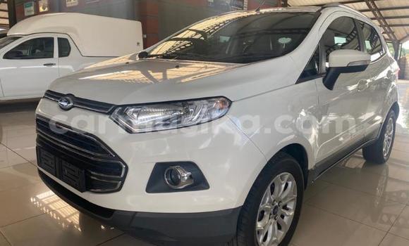 Tenga Tsaru Ford EcoSport Chena Mota in Beitbridge in Matabeleland South