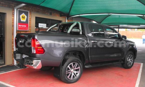 Acheter Occasion Voiture Toyota Hilux Blanc à Beitbridge, Matabeleland South Acheter Occasion Voiture Toyota Hilux Blanc à Beitbridge, Matabeleland South