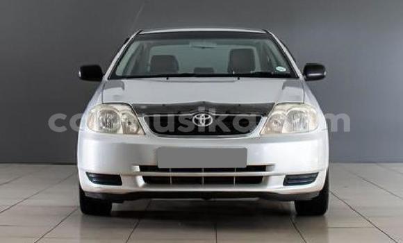 Buy Used Toyota Corolla Silver Car in Beitbridge in Matabeleland South