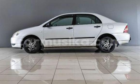 Nunua Ilio tumika Toyota Corolla Fedha Gari ndani ya Beitbridge nchini Matabeleland Kusini Nunua Ilio tumika Toyota Corolla Fedha Gari ndani ya Beitbridge nchini Matabeleland Kusini