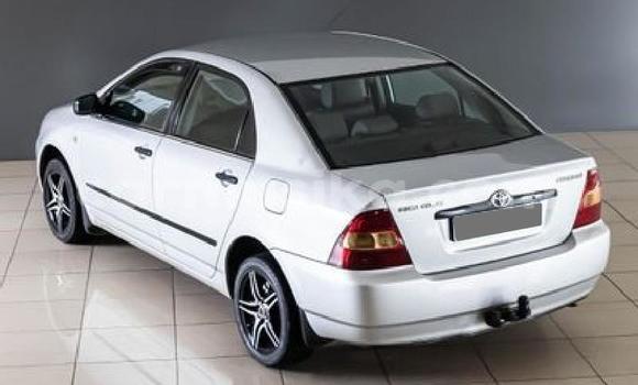 Nunua Ilio tumika Toyota Corolla Fedha Gari ndani ya Beitbridge nchini Matabeleland Kusini Nunua Ilio tumika Toyota Corolla Fedha Gari ndani ya Beitbridge nchini Matabeleland Kusini