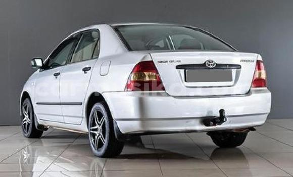 Nunua Ilio tumika Toyota Corolla Fedha Gari ndani ya Beitbridge nchini Matabeleland Kusini Nunua Ilio tumika Toyota Corolla Fedha Gari ndani ya Beitbridge nchini Matabeleland Kusini