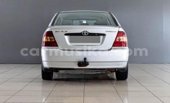 Nunua Ilio tumika Toyota Corolla Fedha Gari ndani ya Beitbridge nchini Matabeleland Kusini Nunua Ilio tumika Toyota Corolla Fedha Gari ndani ya Beitbridge nchini Matabeleland Kusini