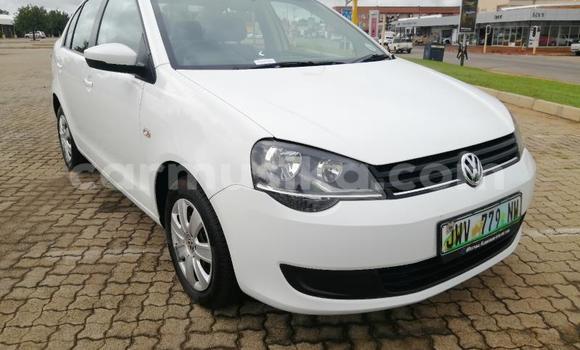 Acheter Occasion Voiture Volkswagen Polo Blanc à Beitbridge, Matabeleland South Acheter Occasion Voiture Volkswagen Polo Blanc à Beitbridge, Matabeleland South