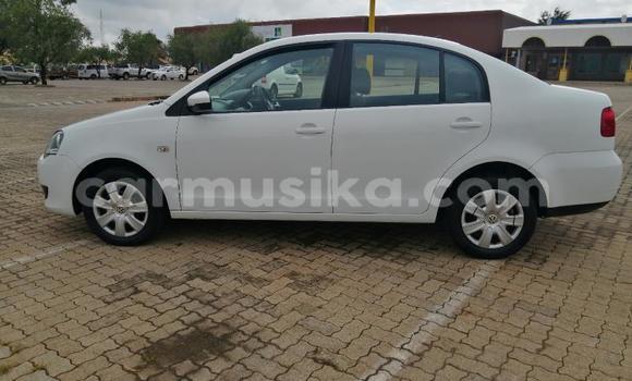 Acheter Occasion Voiture Volkswagen Polo Blanc à Beitbridge, Matabeleland South Acheter Occasion Voiture Volkswagen Polo Blanc à Beitbridge, Matabeleland South