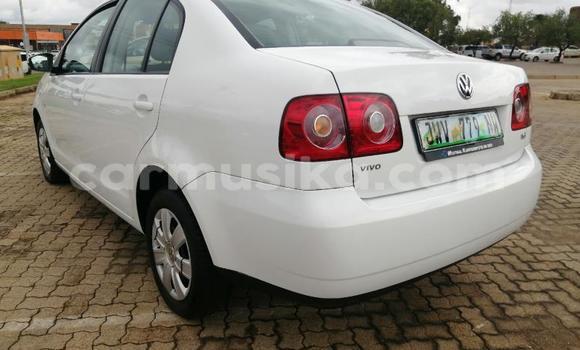Acheter Occasion Voiture Volkswagen Polo Blanc à Beitbridge, Matabeleland South Acheter Occasion Voiture Volkswagen Polo Blanc à Beitbridge, Matabeleland South