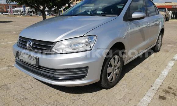 Nunua Ilio tumika Volkswagen Polo Fedha Gari ndani ya Beitbridge nchini Matabeleland Kusini Nunua Ilio tumika Volkswagen Polo Fedha Gari ndani ya Beitbridge nchini Matabeleland Kusini