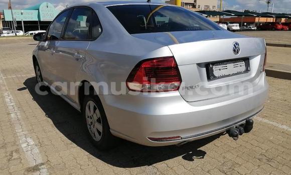Nunua Ilio tumika Volkswagen Polo Fedha Gari ndani ya Beitbridge nchini Matabeleland Kusini Nunua Ilio tumika Volkswagen Polo Fedha Gari ndani ya Beitbridge nchini Matabeleland Kusini