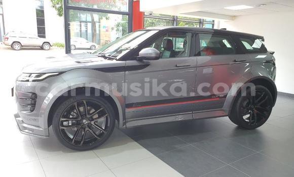 Buy Used Land Rover Discovery Silver Car in Beitbridge in Matabeleland South