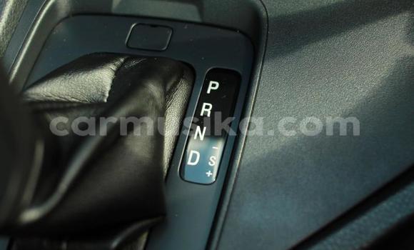 Tenga Tsaru Ford Ranger Nhema Mota in Beitbridge in Matabeleland South Tenga Tsaru Ford Ranger Nhema Mota in Beitbridge in Matabeleland South