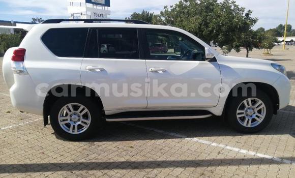 Buy Used Toyota Prado White Car in Beitbridge in Matabeleland South